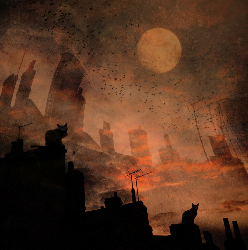 Day X... Cats... von Robert Fabrowski