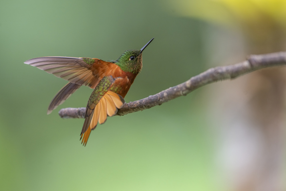 Feel better von Robert Ge