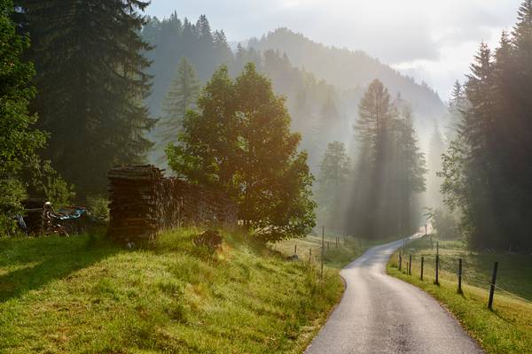 Gnanitzweg durch die Alm im Gegenlicht von Robert Kalb