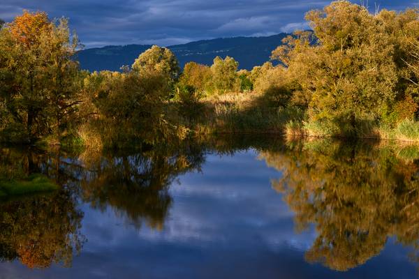Herbstliche leuchtende Uferlandschaft im Schleienloch von Robert Kalb