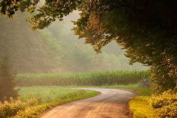 Romantischer Weg durch ein Wald im goldenen Licht von Robert Kalb