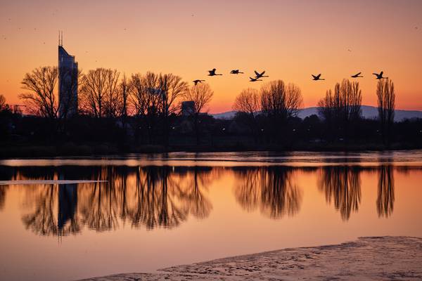 Sonnenuntergang an der Alten Donau mit Blick auf den Millenniums Tower  von Robert Kalb