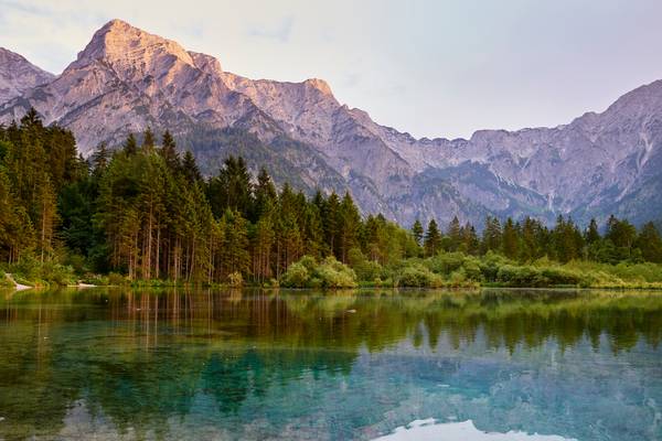 Uferlandschaft spiegelt sich im Almsee von Robert Kalb