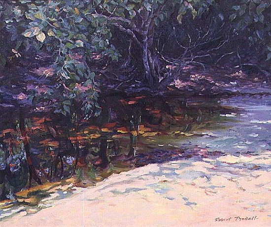 Beach and Rain Forest, Cape Tribulation, Northern Queensland, Australia  von Robert  Tyndall