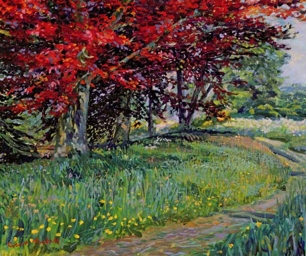 Copper Beeches, New Timber, Sussex  von Robert  Tyndall