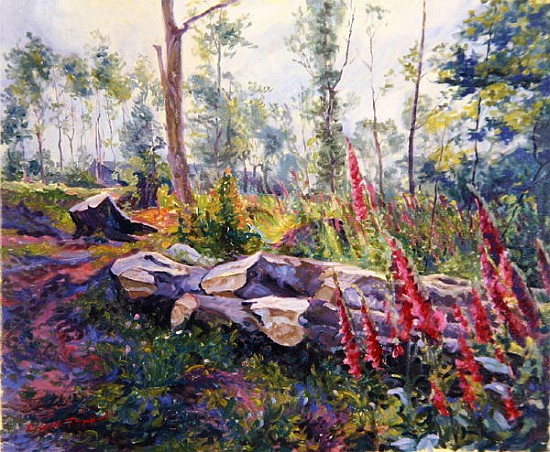 The Foxgloves Return  von Robert  Tyndall