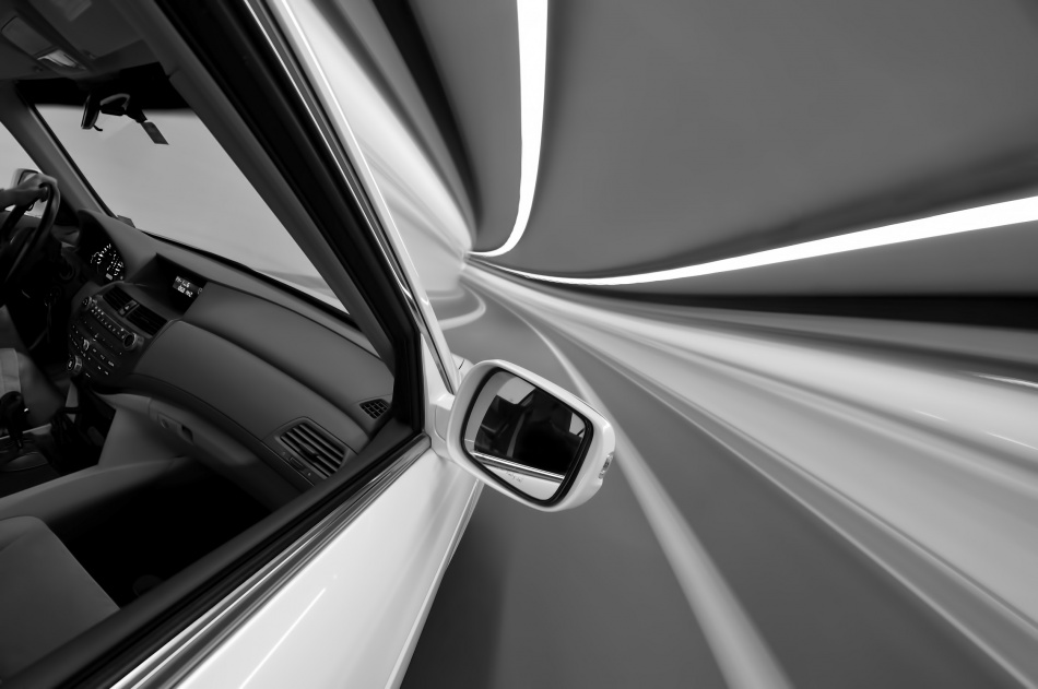 My Dog\'s Point of View von Robert Work