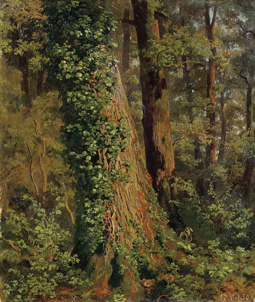 Im Eichenwald von Robert Zünd