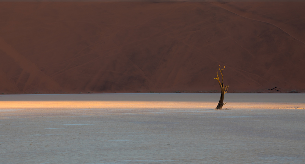 Deadviel von Roberto Marchegiani