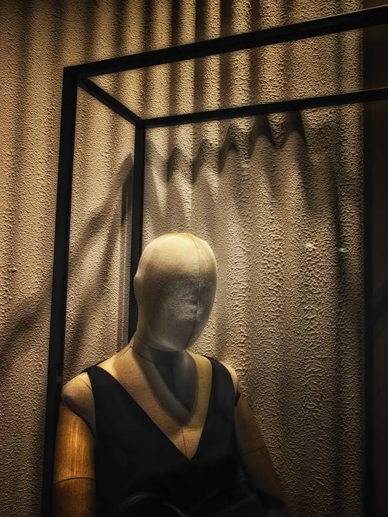 In gabbia von Roberto Pestarino