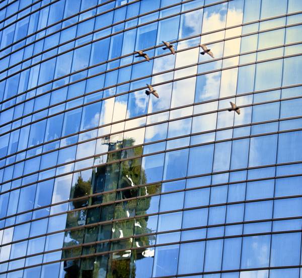 in volo  von Roberto Pestarino