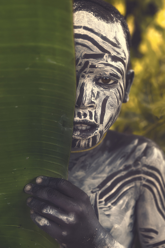 The Shyness and the Leaf von Roberto Rivera