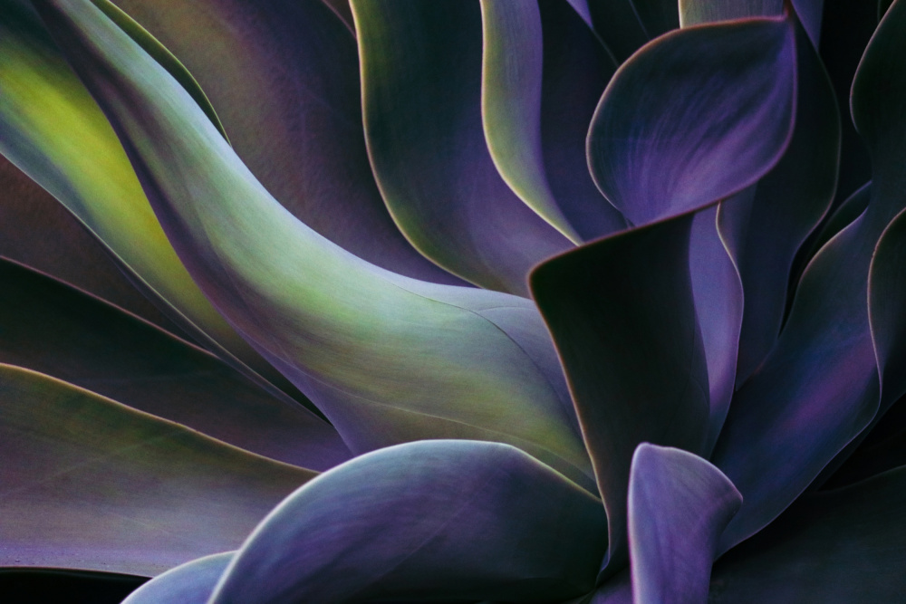 Moving towards winter von Robin Wechsler