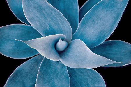 The winter blues 2023