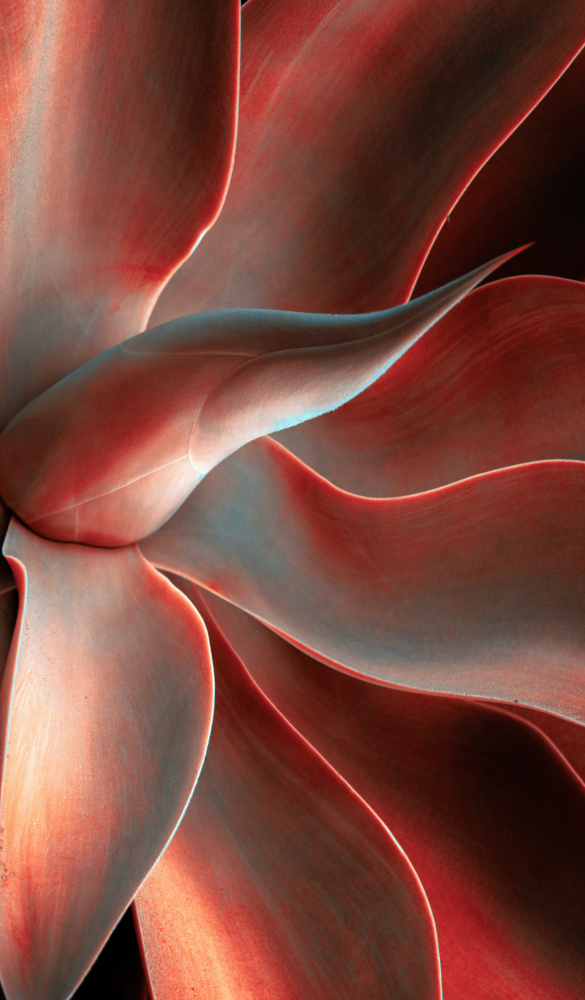 The shades of Autumn von Robin Wechsler