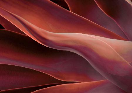 A little bit like flames