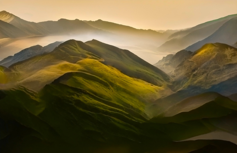 My back yard von Robin Wechsler