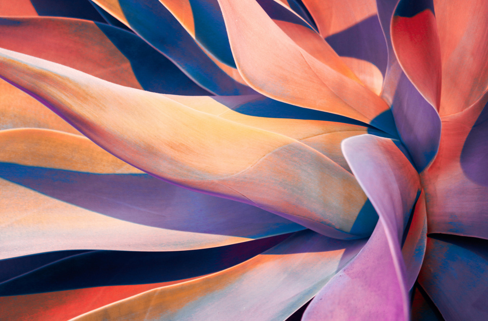 May your days be merry and bright von Robin Wechsler