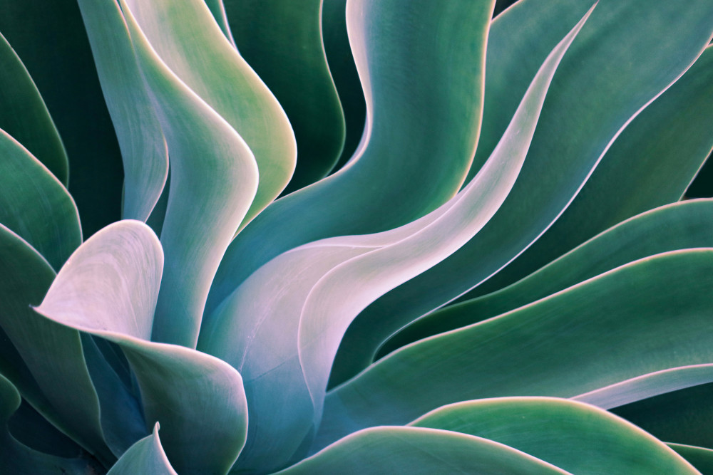 Shades of Summer von Robin Wechsler