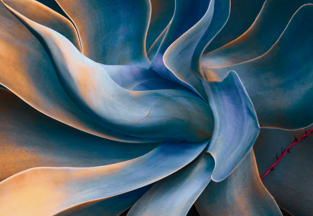 Stitches von Robin Wechsler