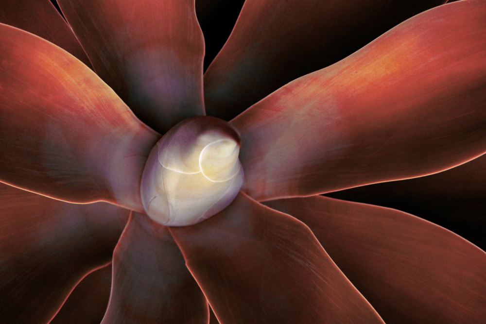 Like a propeller von Robin Wechsler