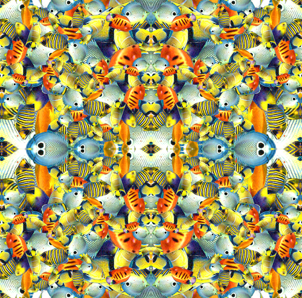Kaleidoscope Fish Tile von Robyn Parker