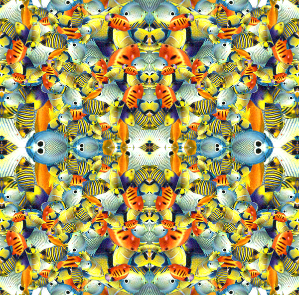 Kaleidoscope Fish Tile von Robyn Parker