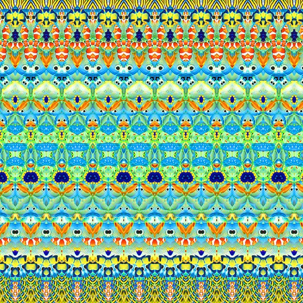 Tropical Fish Stripe von Robyn Parker