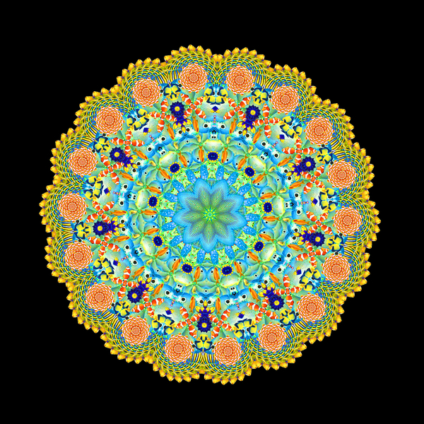 Tropical Fish Wheel von Robyn Parker