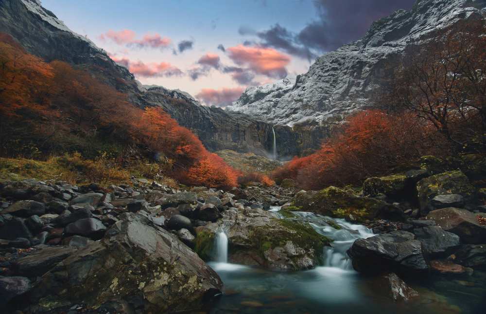 Throat of the earth von RODRIGO GERHARDT BARBOSA