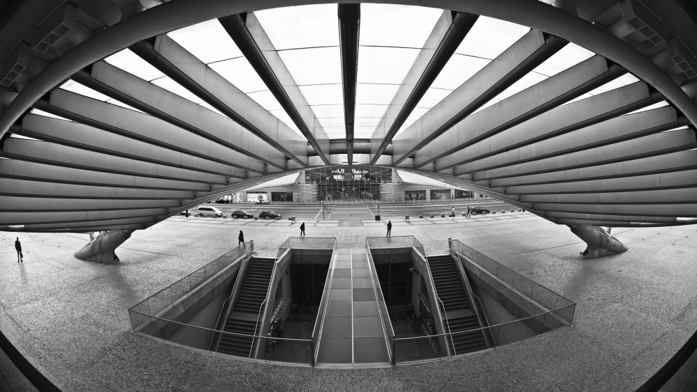 In perspective von Rodrigo Marin