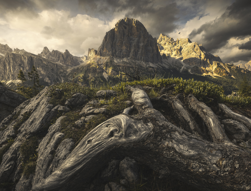 &quot;Eudaimonia&quot; von Roksolyana Hilevych