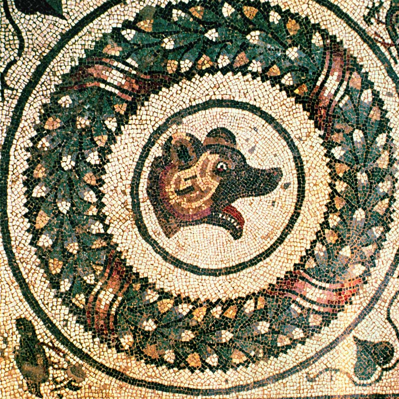 Bear's Head, Roman mosaic, early 4th century (mosaic) von Roman