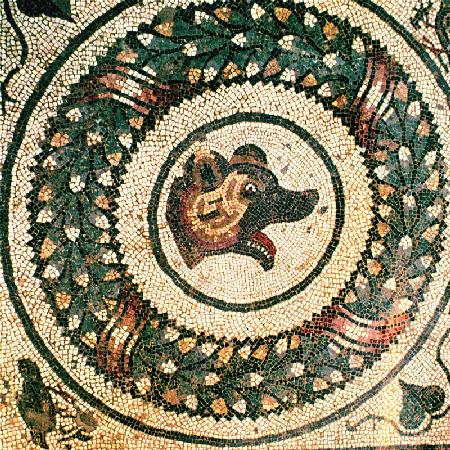 Bear's Head, Roman mosaic, early 4th century (mosaic)