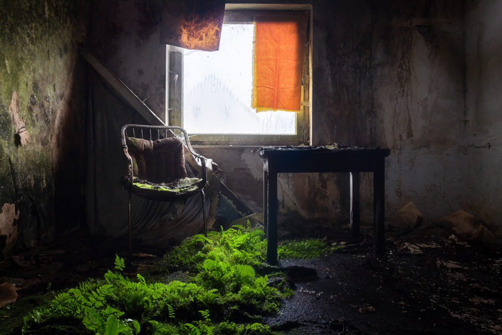 Plants in Line von Roman Robroek