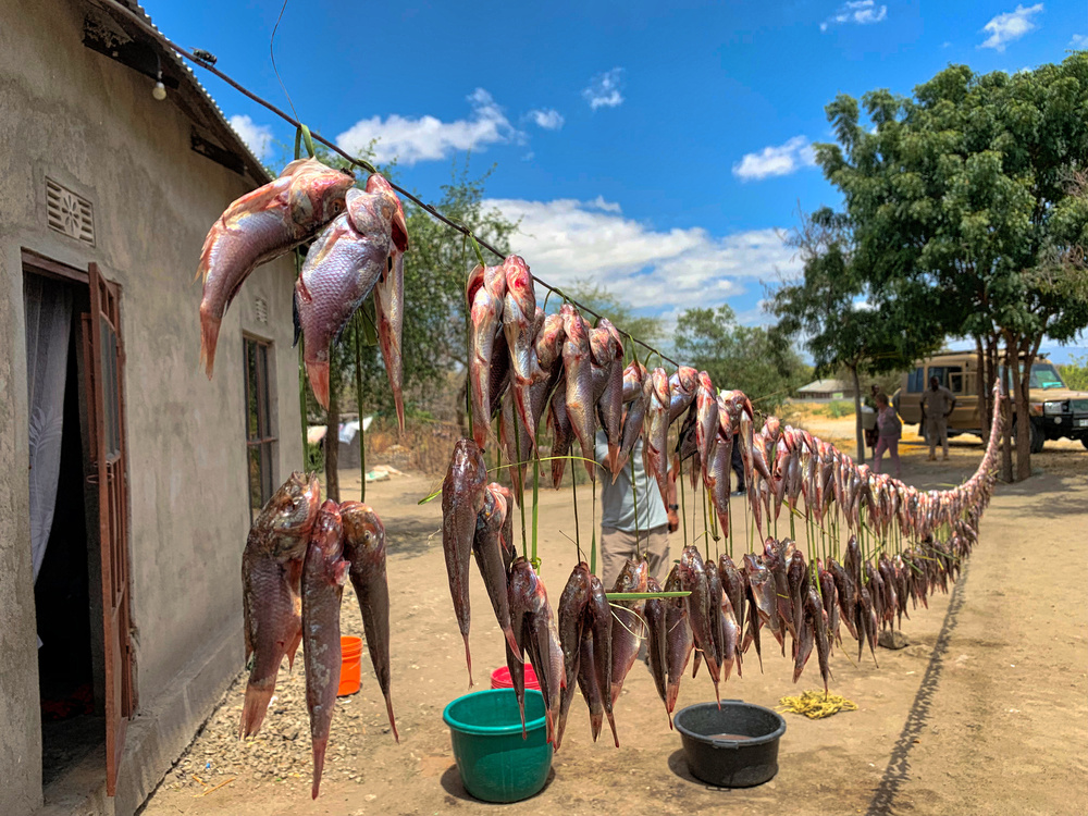 Fish Market von Ronald Scott Johnson