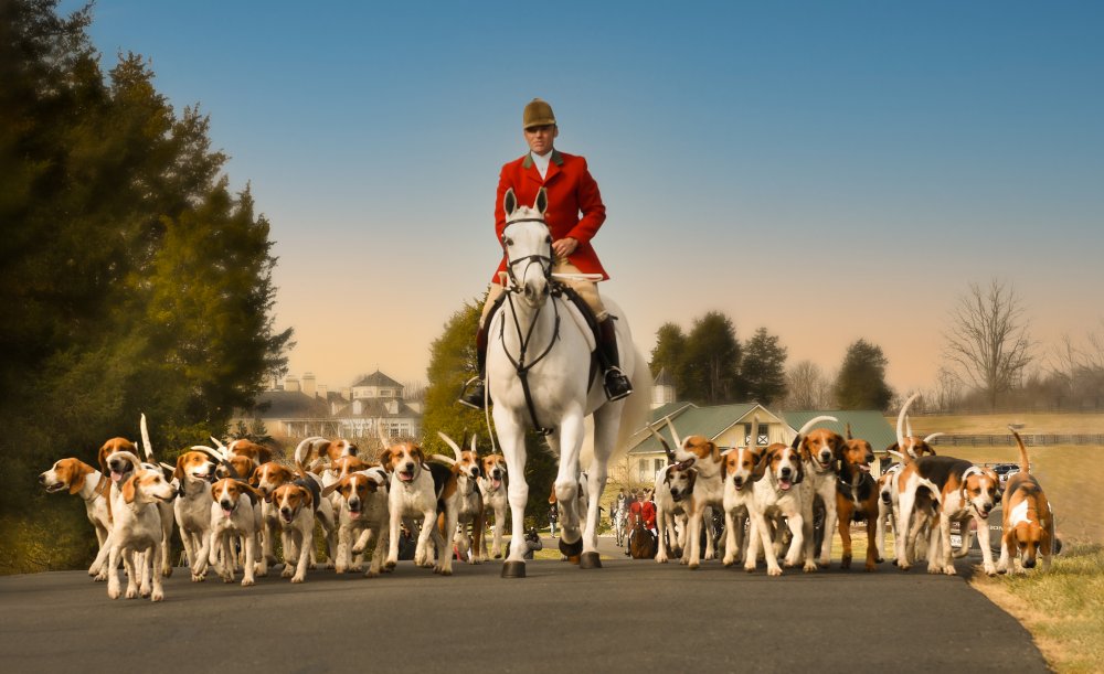 Fox Hunt von Rong Wei