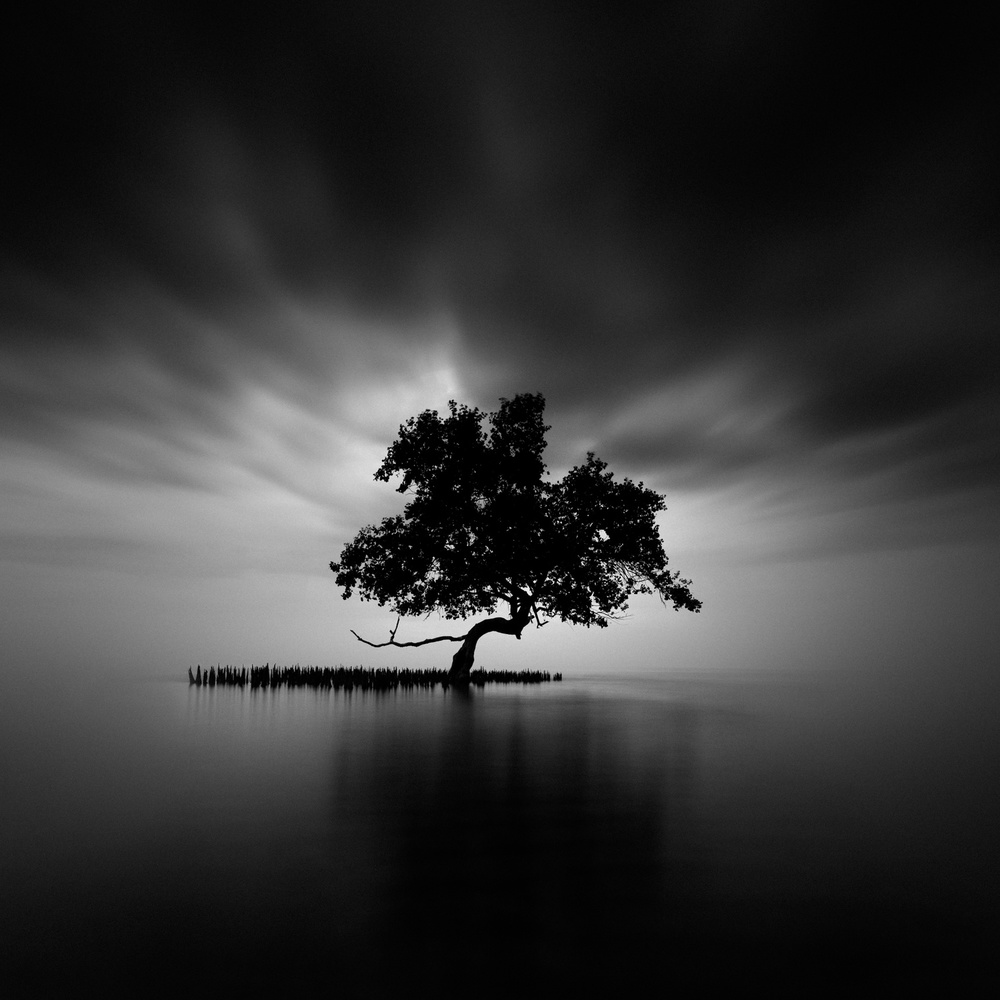 Back Light von Rony Tjayana