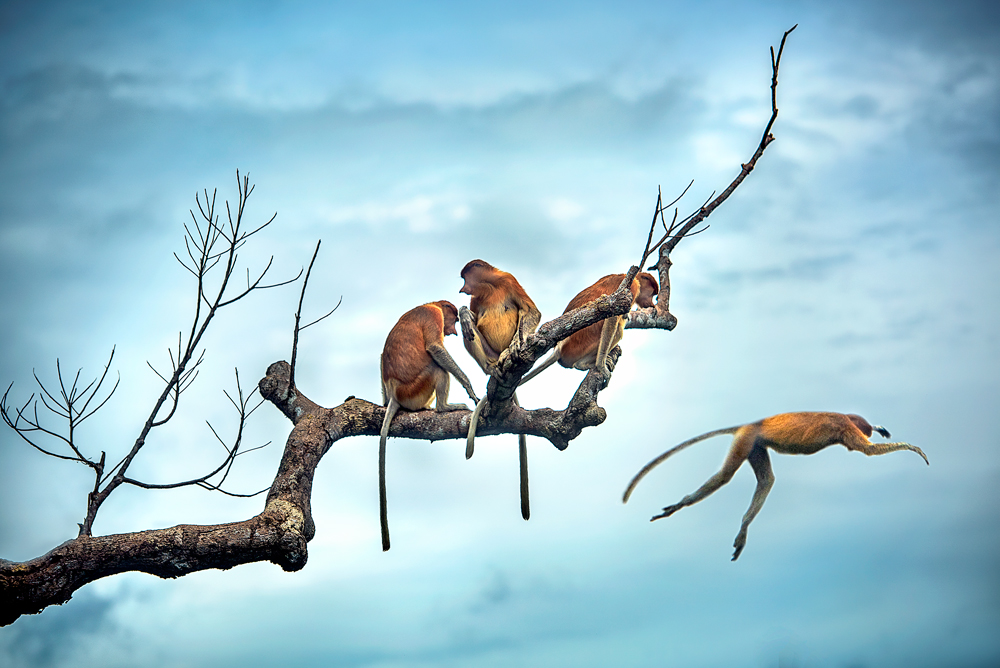 lining up to jump von Rooswandy Juniawan