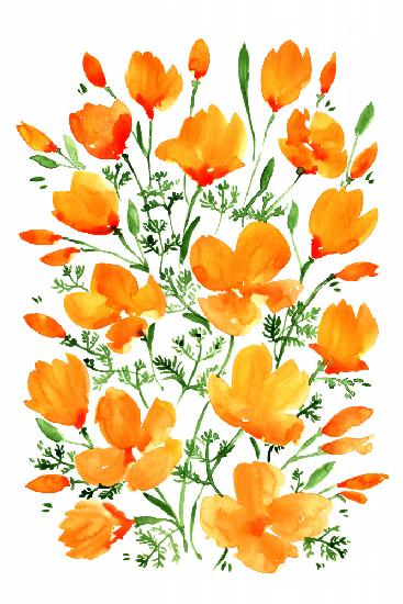 Watercolor California poppies