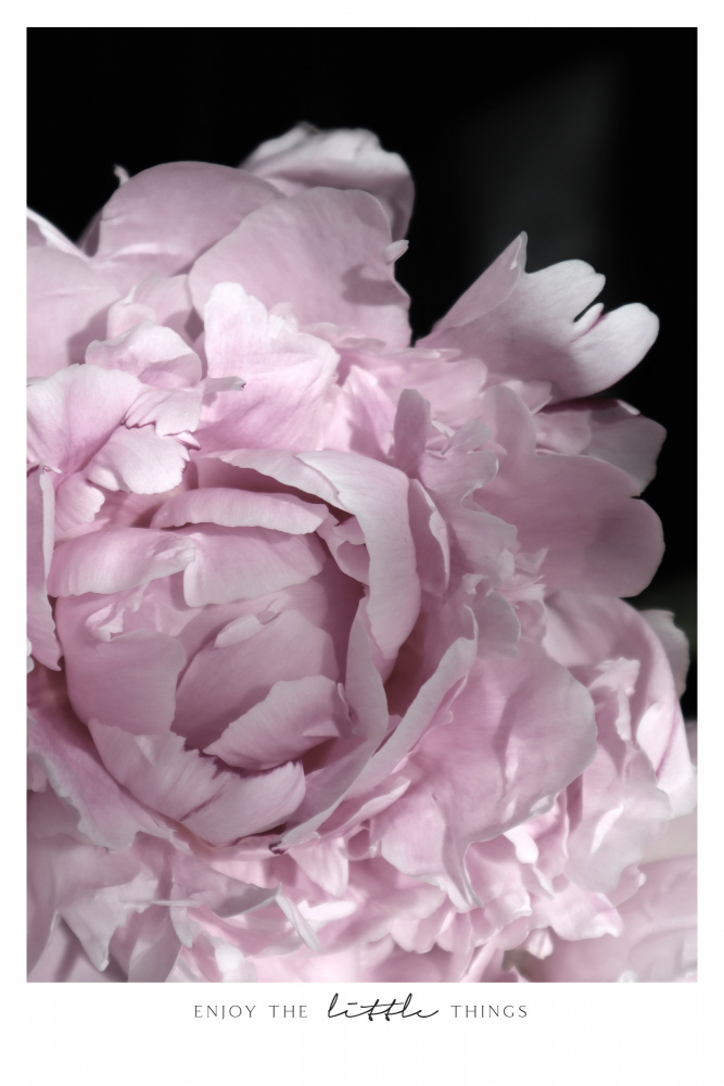 Enjoy the little things peony von Rosana Laiz Blursbyai