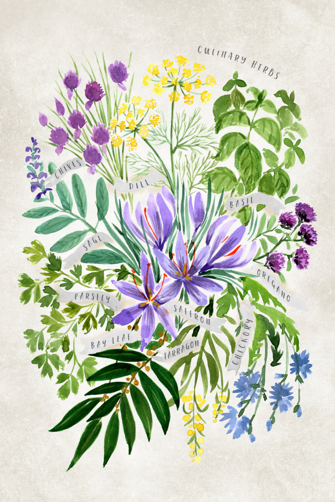 Culinary herbs in vintage gray von Rosana Laiz Blursbyai