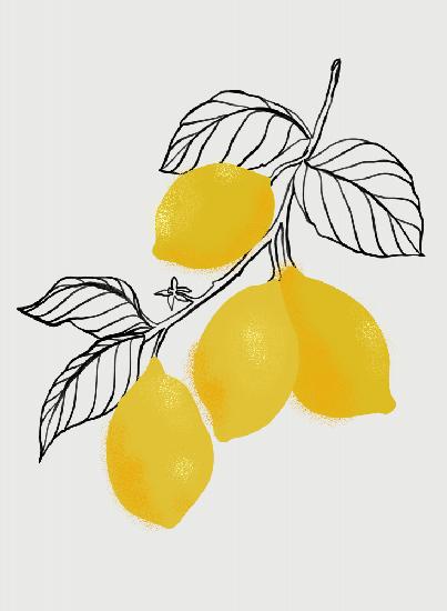 Lamya lemons