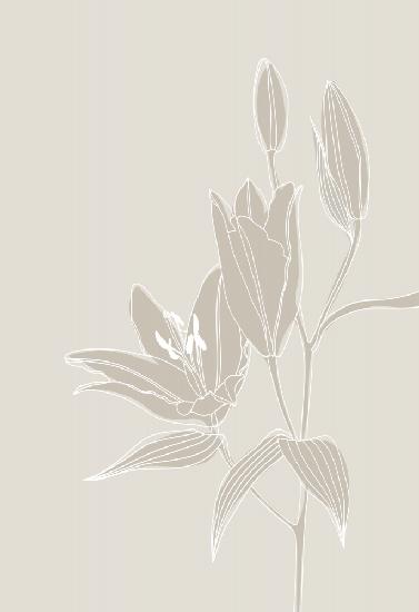 Line art lillies in white