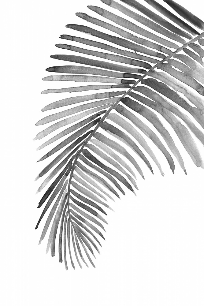 Palm leaf in loose watercolor bw von Rosana Laiz Blursbyai