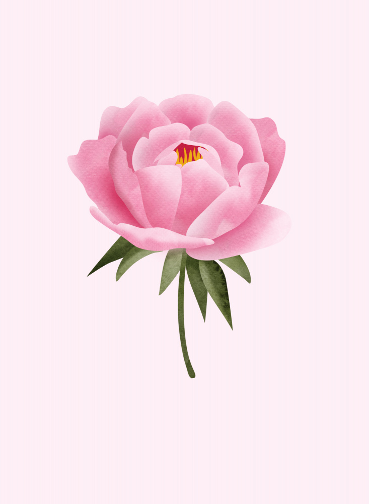 Peony statement von Rosana Laiz Blursbyai