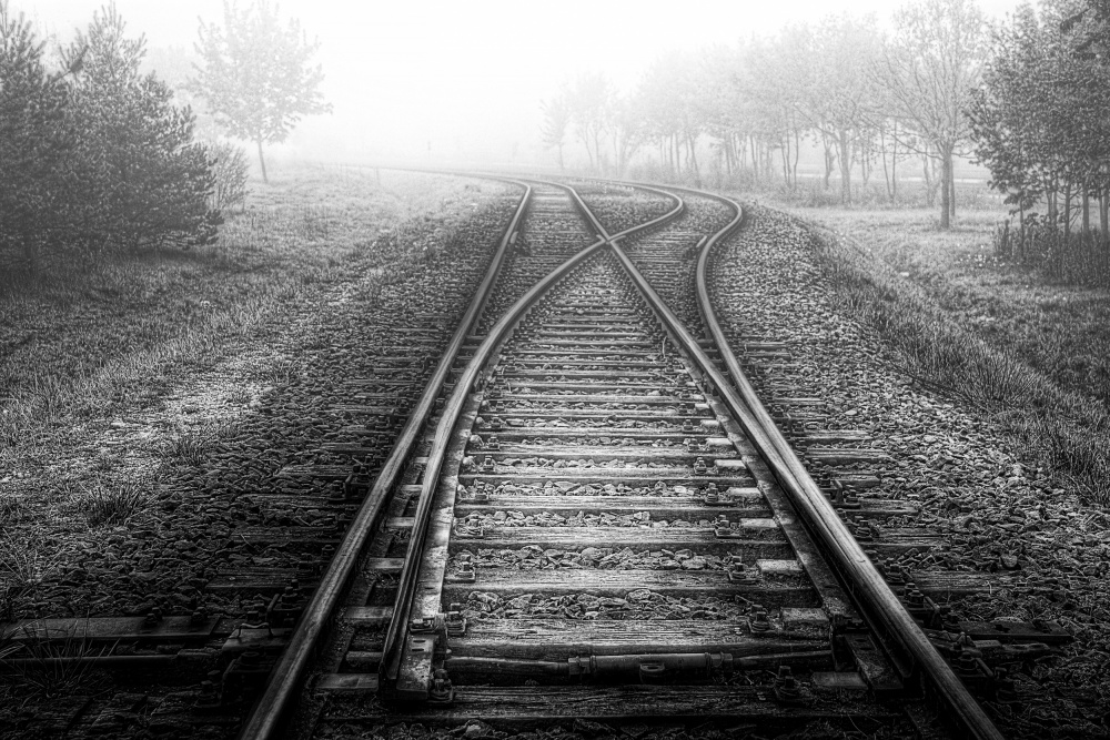 this is the way von Roswitha Schleicher-Schwarz