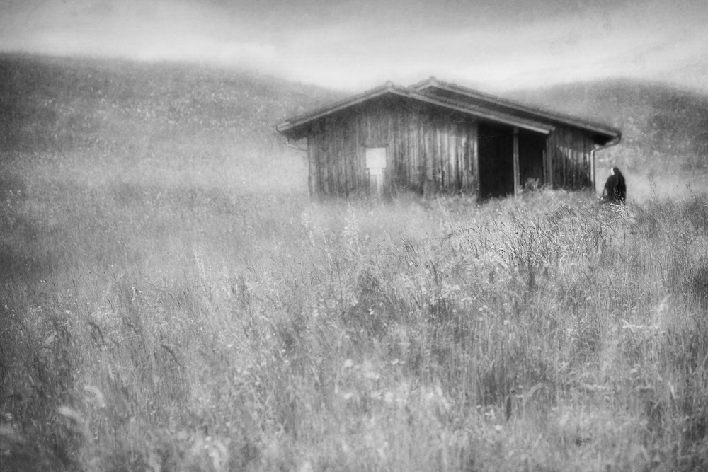 the return von Roswitha Schleicher-Schwarz