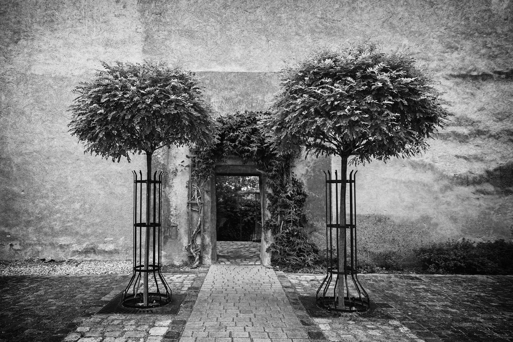 rose garden entrance von Roswitha Schleicher-Schwarz