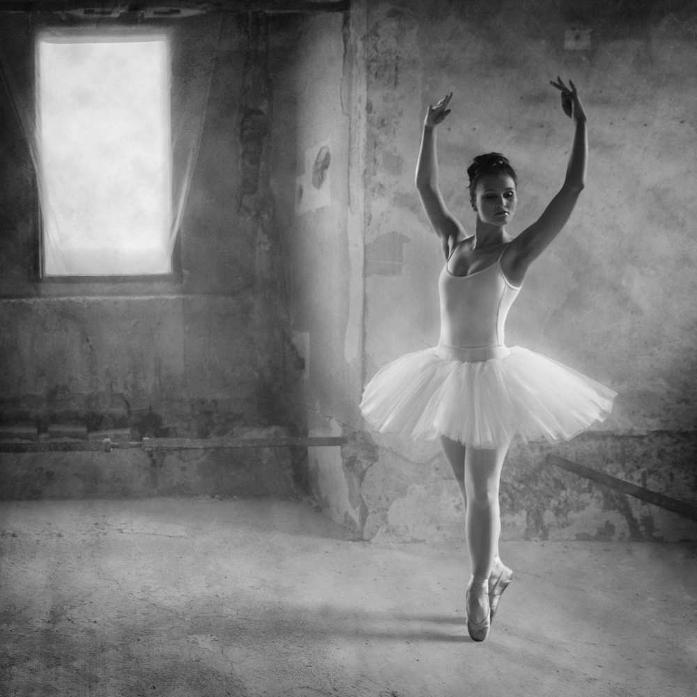 in position von Roswitha Schleicher-Schwarz